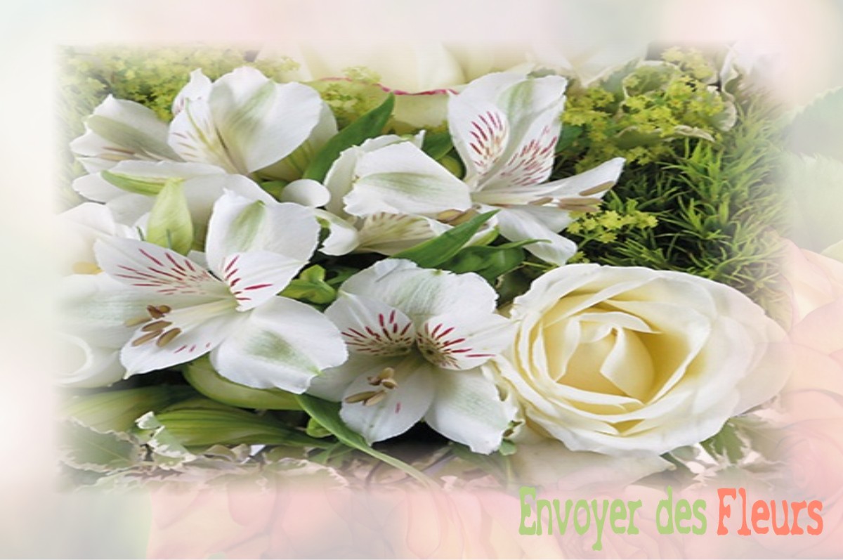 envoyer des fleurs à à SAINT-DENIS-DE-PALIN